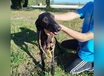 ❤️ ISERLO ❤️