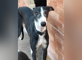 ❤️CATALEYA❤️