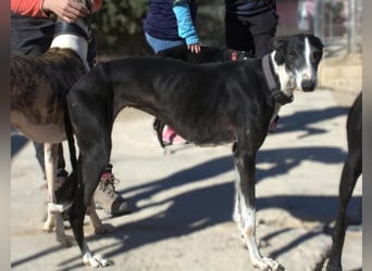 ❤️CATALEYA❤️