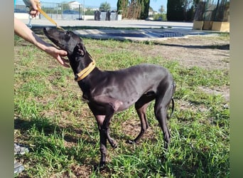 ❤️ ISERLO ❤️