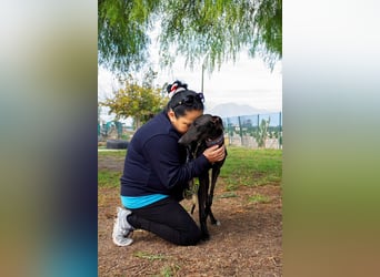 ❤️ ISLERO ❤️