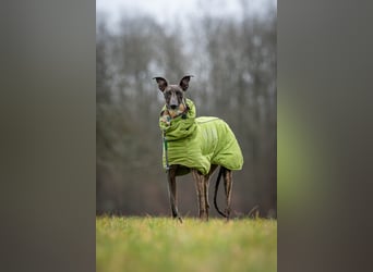 Darf Nani dich mit ihrem strahlenden Wesen verzaubern?