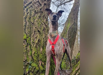 Darf Nani dich mit ihrem strahlenden Wesen verzaubern?