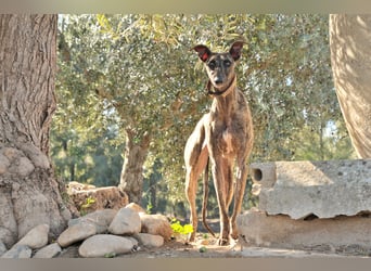 Darf Nani bei dir ankommen und mit dir die Zukunft teilen?
