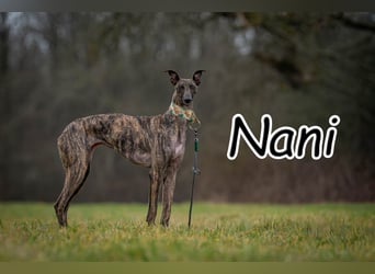 Darf Nani dich mit ihrem strahlenden Wesen verzaubern?