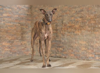 Darf Nani bei dir ankommen und mit dir die Zukunft teilen?