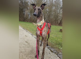 Darf Nani dich mit ihrem strahlenden Wesen verzaubern?