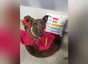 Darf Nani dich mit ihrem strahlenden Wesen verzaubern?