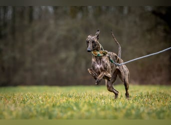 Darf Nani dich mit ihrem strahlenden Wesen verzaubern?