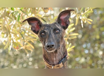 Darf Nani bei dir ankommen und mit dir die Zukunft teilen?