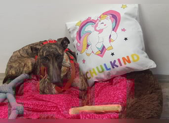 Darf Nani dich mit ihrem strahlenden Wesen verzaubern?