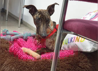 Darf Nani dich mit ihrem strahlenden Wesen verzaubern?