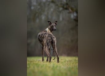 Darf Nani dich mit ihrem strahlenden Wesen verzaubern?