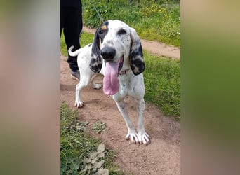 Genni: „Kriege ich bald eine Familie und etwas zu tun?“