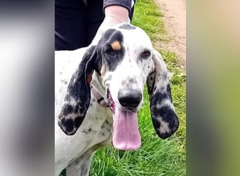 Genni: „Kriege ich bald eine Familie und etwas zu tun?“