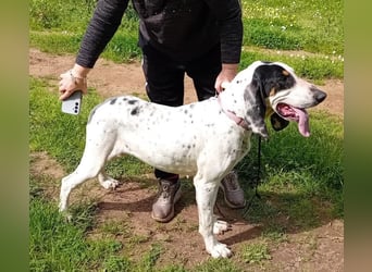 Genni: „Kriege ich bald eine Familie und etwas zu tun?“