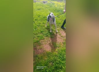 Genni: „Kriege ich bald eine Familie und etwas zu tun?“