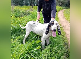 Genni: „Kriege ich bald eine Familie und etwas zu tun?“