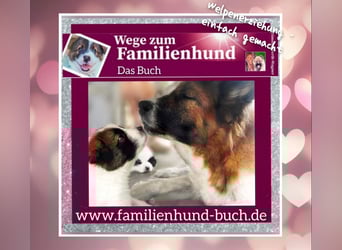 Geschenk unter 25 Euro - Welpe entspannt erziehen mit dem Buch Wege zum Familienhund