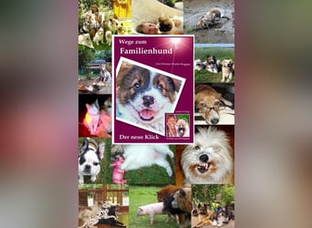 Geschenk unter 25 Euro - Welpe entspannt erziehen mit dem Buch Wege zum Familienhund