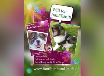 Geschenk unter 25 Euro - Welpe entspannt erziehen mit dem Buch Wege zum Familienhund
