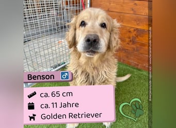 Benson