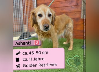 Ashanti