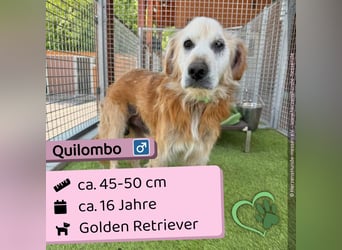 Quilombo