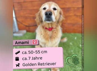 Amami