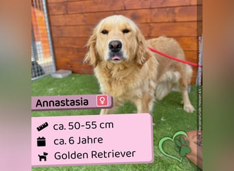 Annastasia