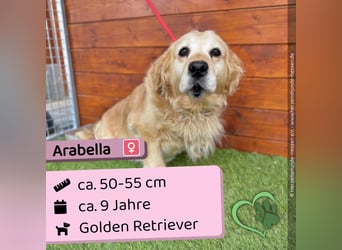Arabella