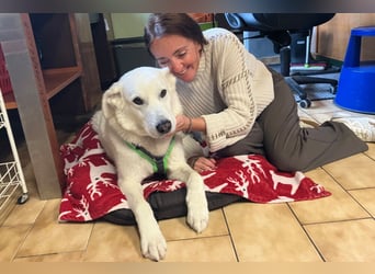 Brix - will geliebt werden - Tierhilfe Franken e.V.