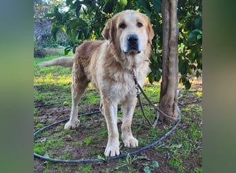 Notfall Leon , hofft endlich ausreisen zu dürfen