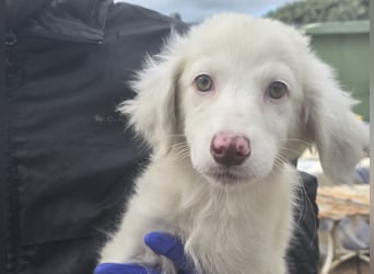 Monia und Mara: zwei kleine Engel