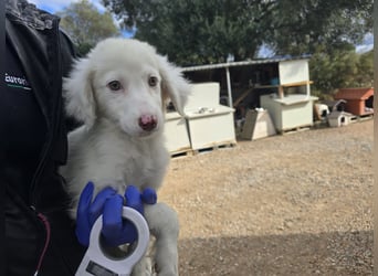 Monia und Mara: zwei kleine Engel