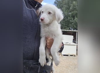 Monia und Mara: zwei kleine Engel