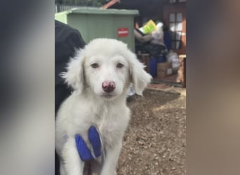 Monia und Mara: zwei kleine Engel