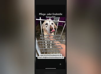Menina - sie möchte endlich geliebt werden