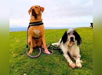 STELLA wird dein Herz im Sturm erobern!