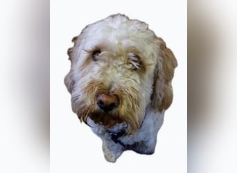 Coco ❤️ liebevolles, sensibles Mädchen