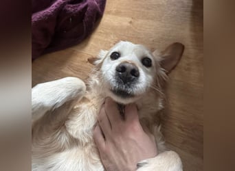 Marley ein Kuschelmonster