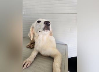 Moira: eine ganz zarte Seele sucht Liebe