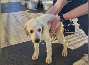 Nami und Noe: vom Flughafen ins schöne Leben