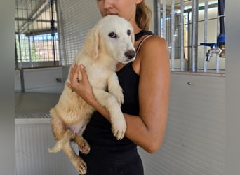 Moira: eine ganz zarte Seele sucht Liebe