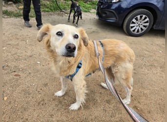 Tom: seine letzte Zeit ist angebrochen