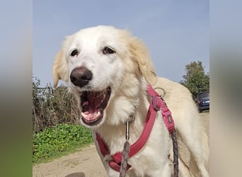 Tesorina: einfach unwiderstehlich