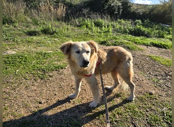 Tom: seine letzte Zeit ist angebrochen