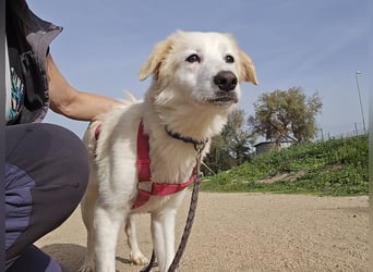 Tesorina: einfach unwiderstehlich