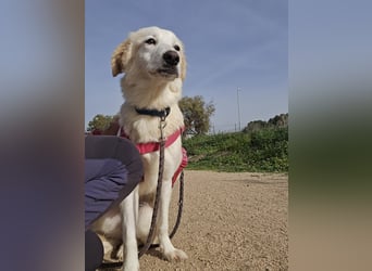 Tesorina: einfach unwiderstehlich