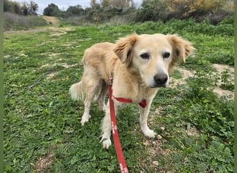 Tom: seine letzte Zeit ist angebrochen